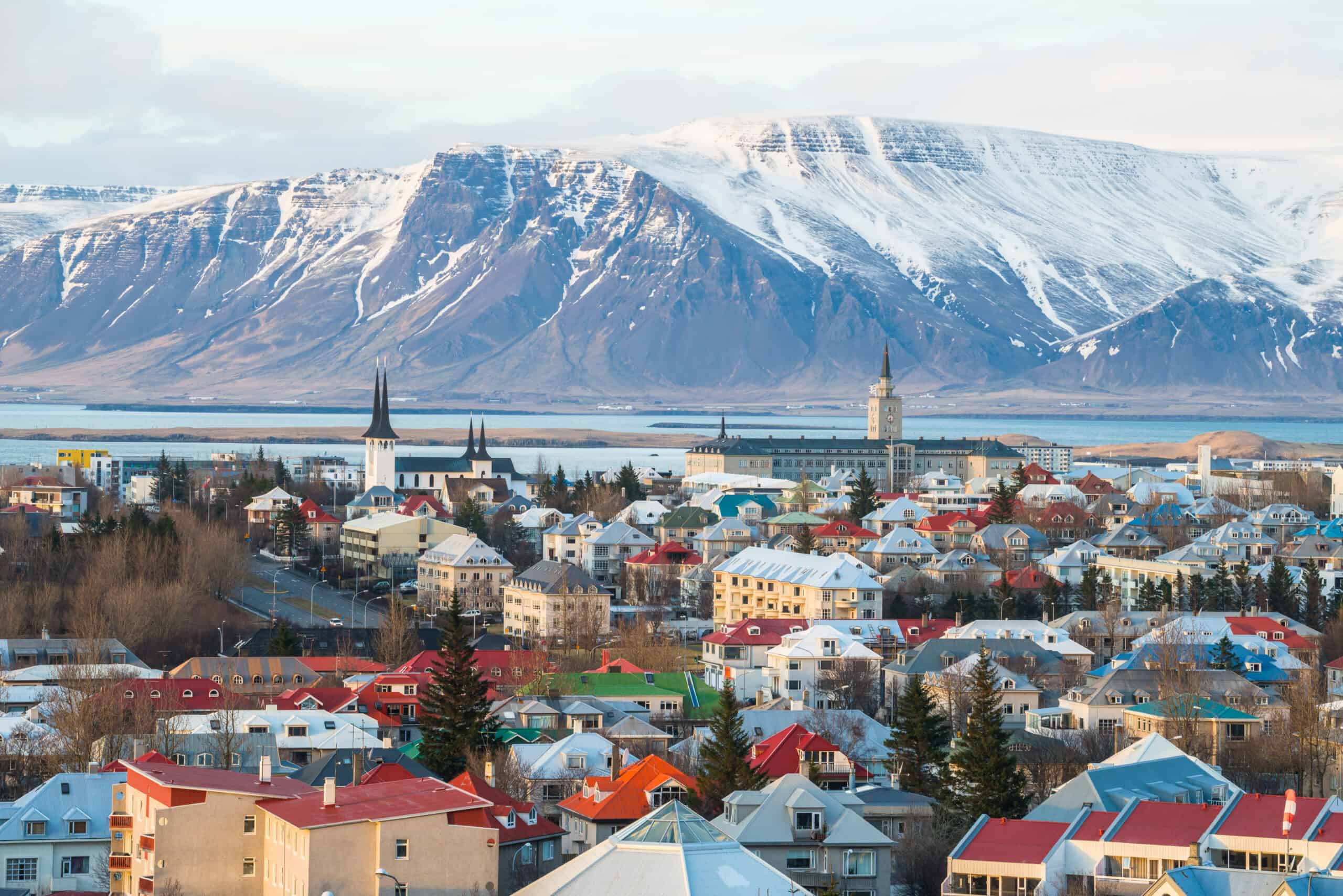 Reykjavik City View
