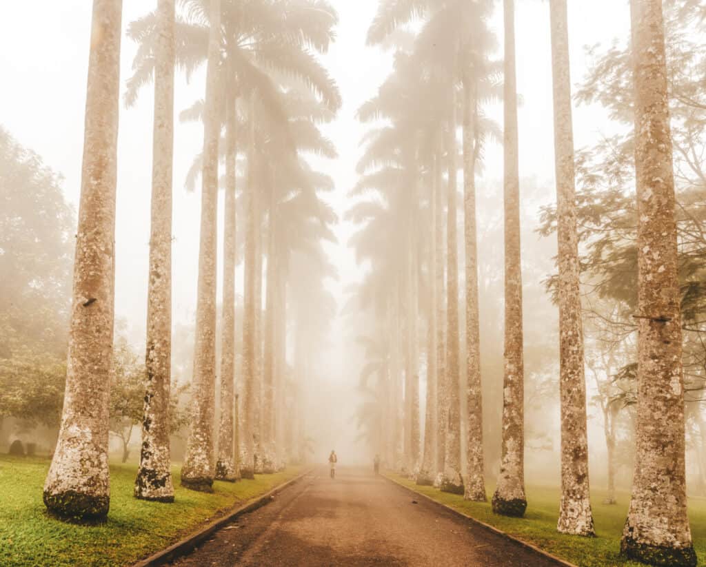 Aburi Botanical Gardens