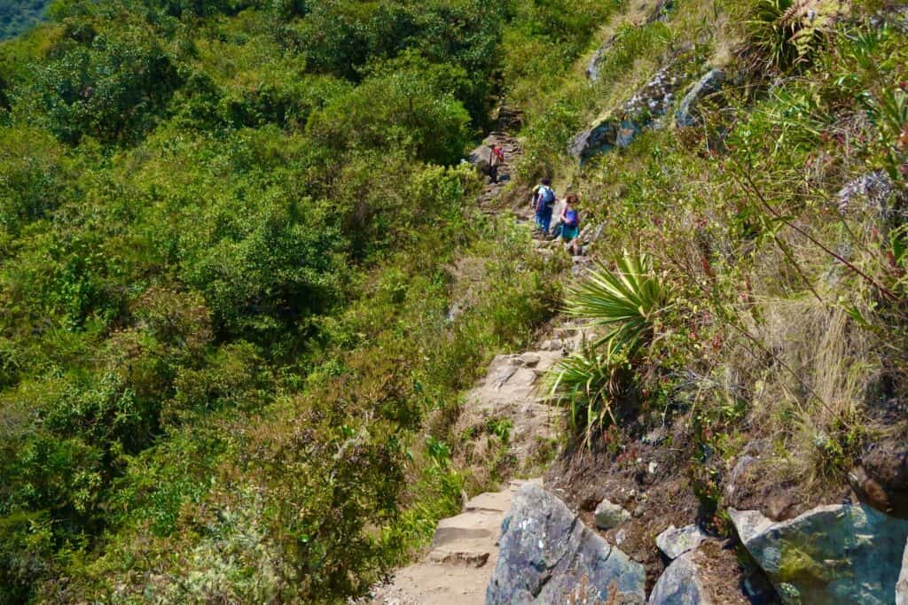 Stairs to Machu Picchu Mountain