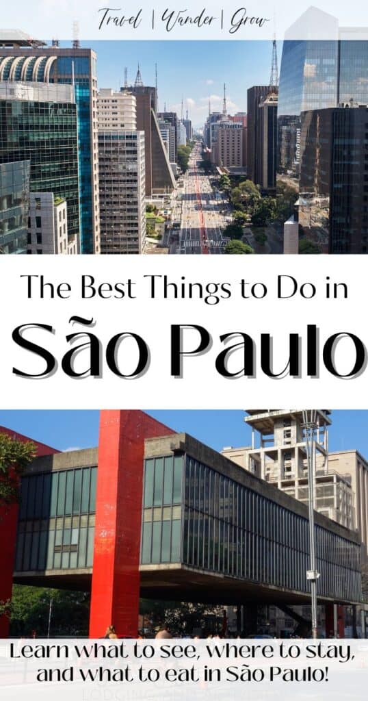 Sao Paulo Travel Essentials - Useful Information to Help You Start Your  Trip to Sao Paulo – Go Guides